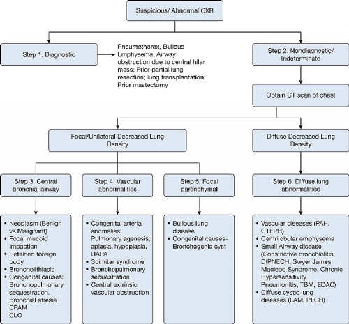 HIPERLUC�NCIA PULMONAR: UM ALGORITMO PR�TICO PARA O DIAGN�STICO. FA�A O DOWNLOAD.